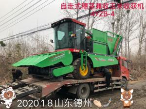 山東悳州訂(ding)購自走(zou)式穗(sui)莖兼收玉(yu)米收穫機